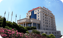 جامعة إسطنبول جليشم